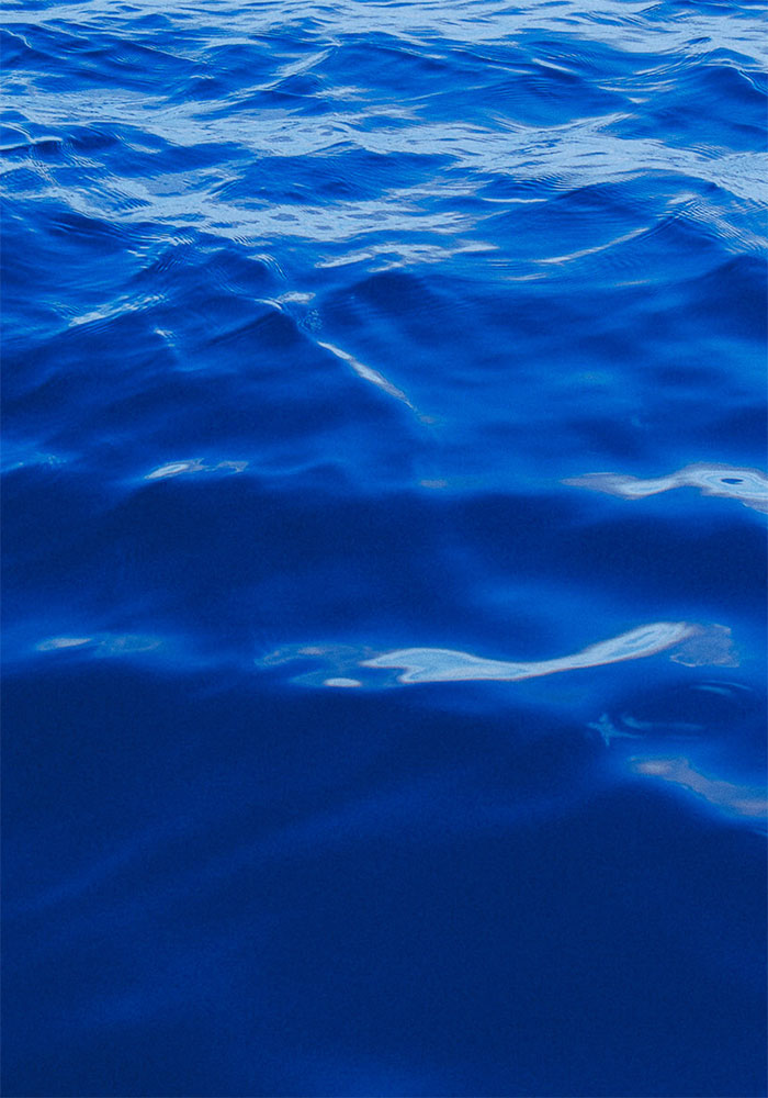 fundo mob