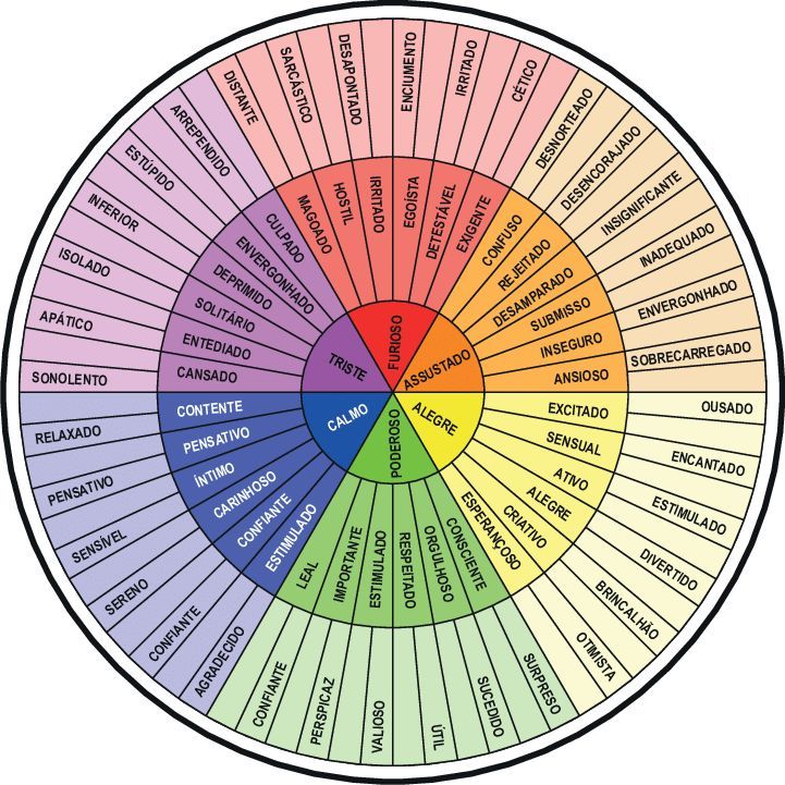 roda dos sentimentos