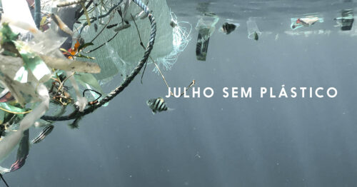 julho sem plastico 4