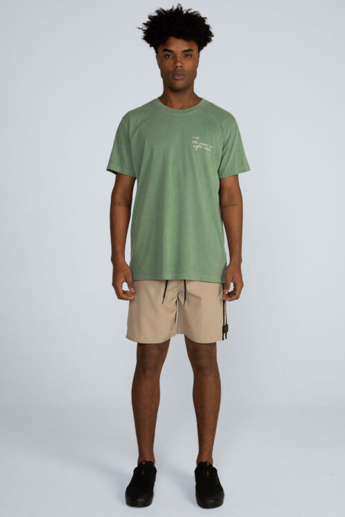 Alternative view of Boardshort debruns