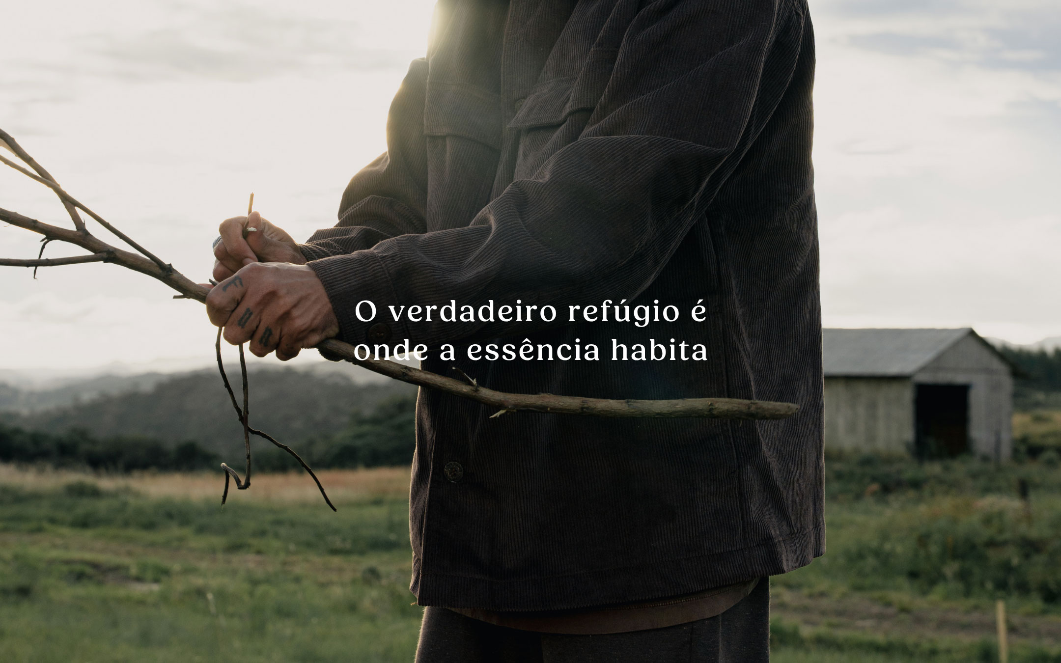 imagem 2 1