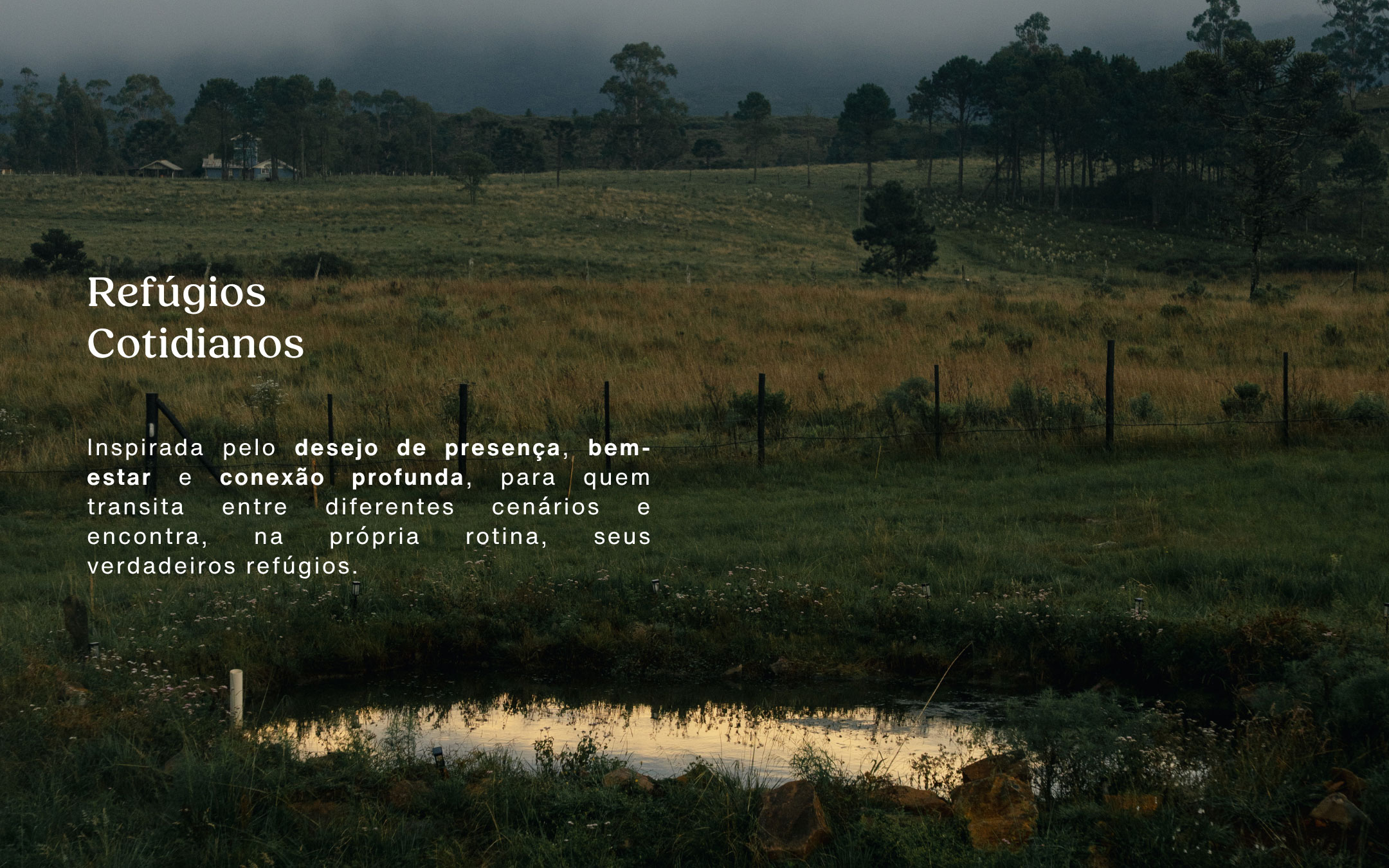 imagem 4 1